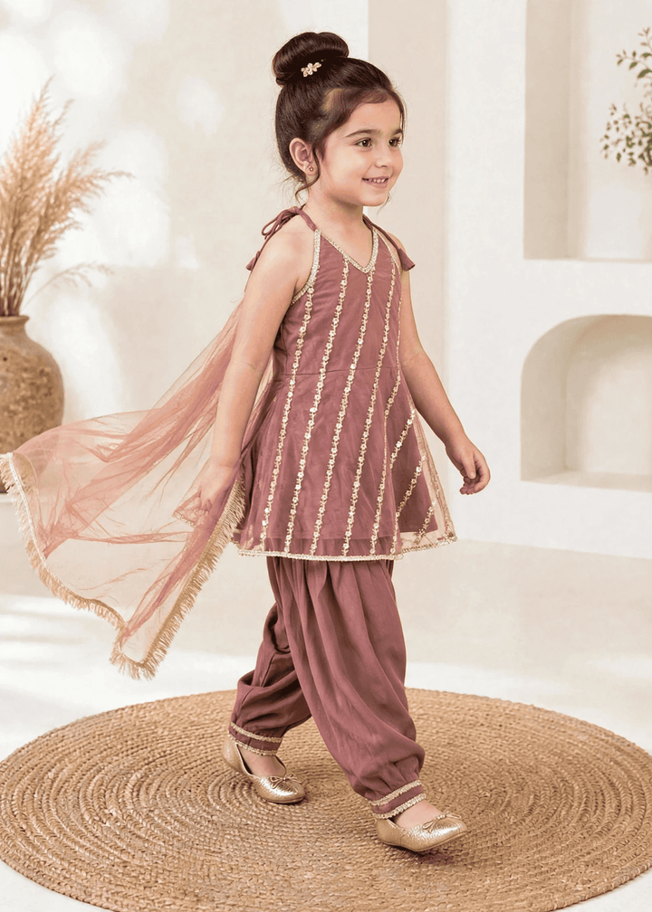 Modest Girls RTW Embroidered Net 3 Piece Suit Tea Pink Festive Collection
