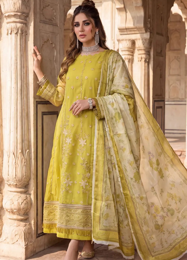 Salitex Women Unstitched Embroidered Net 3 Piece Suit SUNS8JI520 Festive Collection