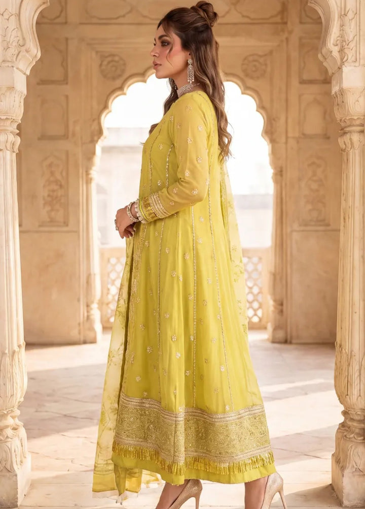 Salitex Women Unstitched Embroidered Net 3 Piece Suit SUNS8JI520 Festive Collection