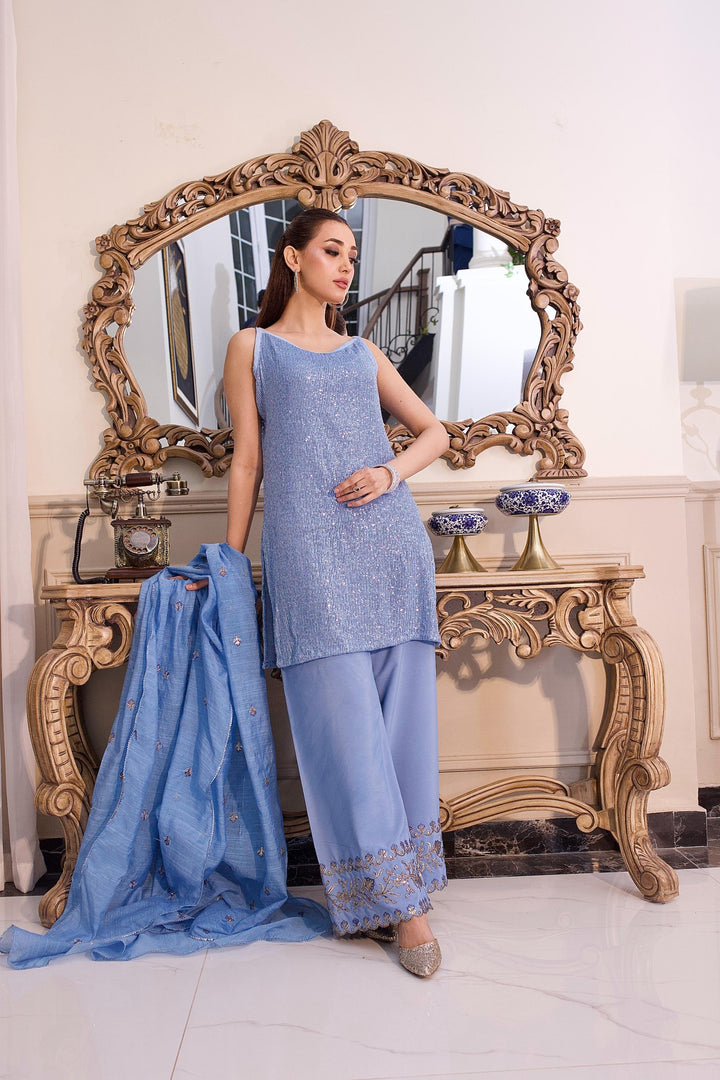 Dilkash by Reezas Women Pret 3 Piece Embroidered Net and Raw Silk Noor e Nazar - Festive Collection