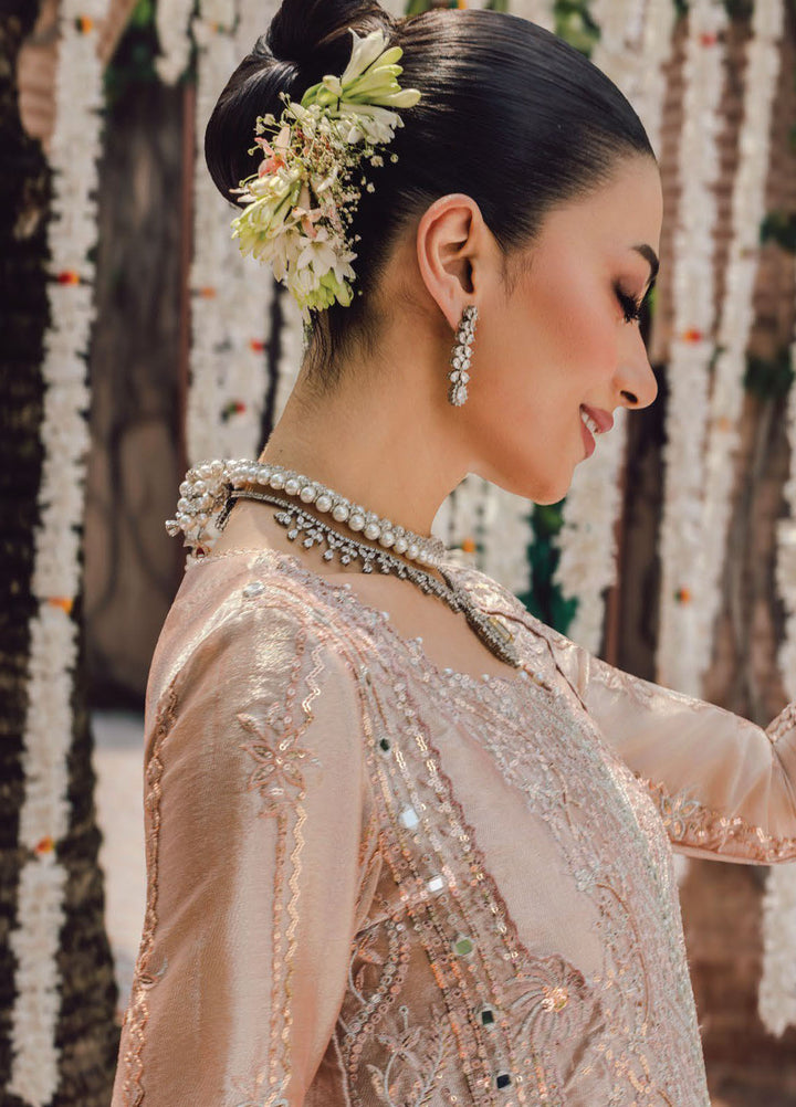 Rang Rasiya Embroidered Organza Suits Unstitched 3 Piece RR25WF D-06 Nayab - Wedding Collections