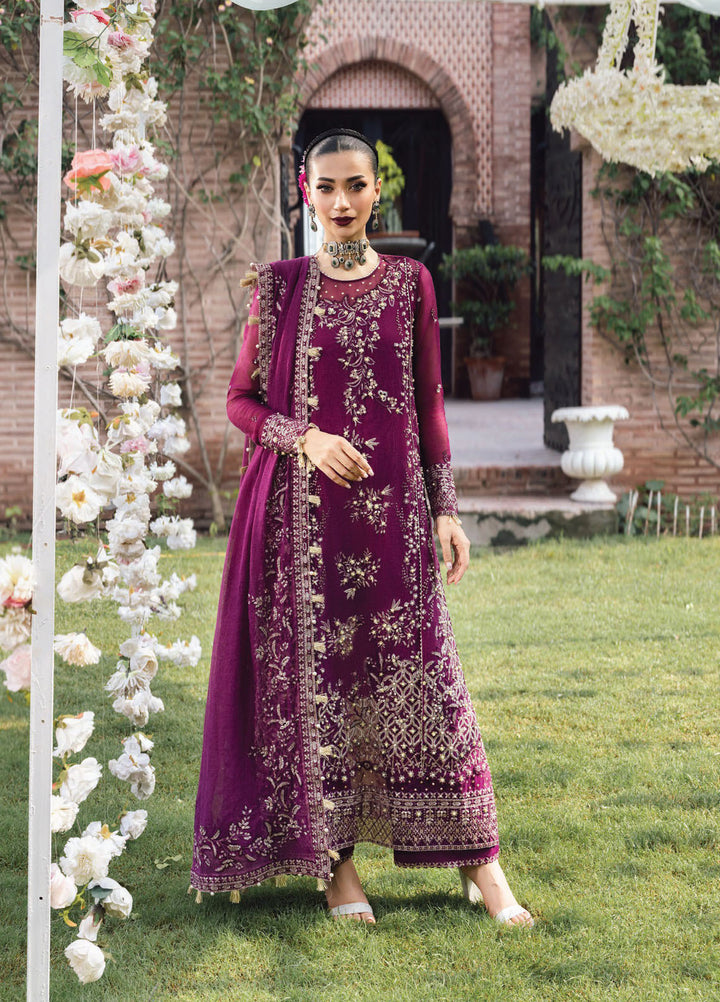 Rang Rasiya Embroidered Cotton Net Suits Unstitched 3 Piece RR25WF D-08 Nimir - Wedding Collections