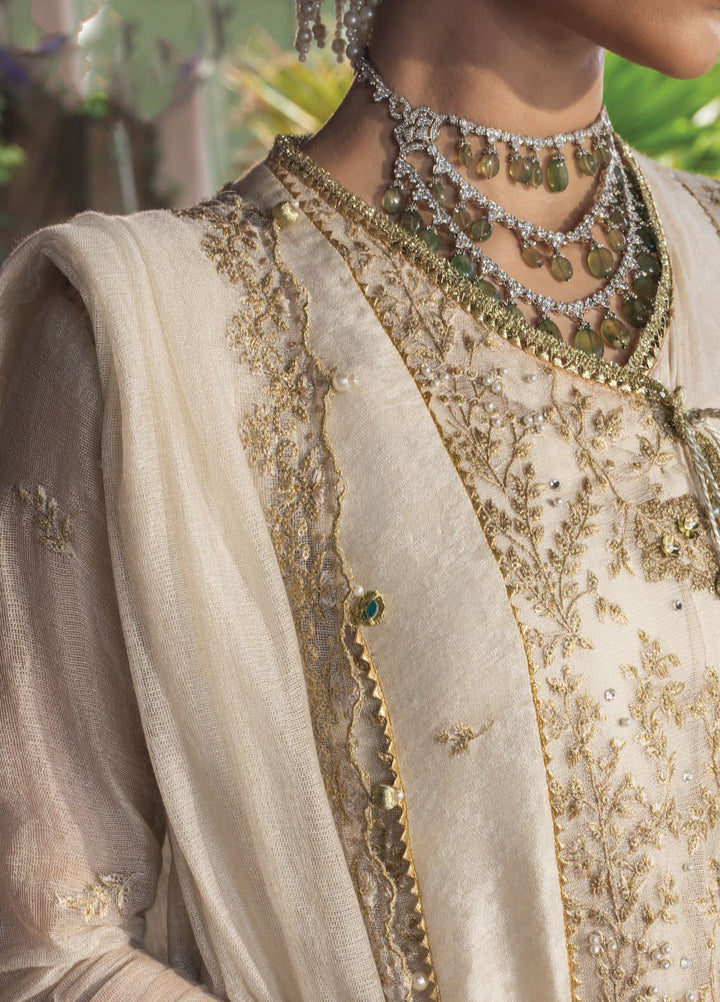 Rang Rasiya Embroidered Cotton Net Suits Unstitched 3 Piece RR25WF D-07 Neha - Wedding Collections