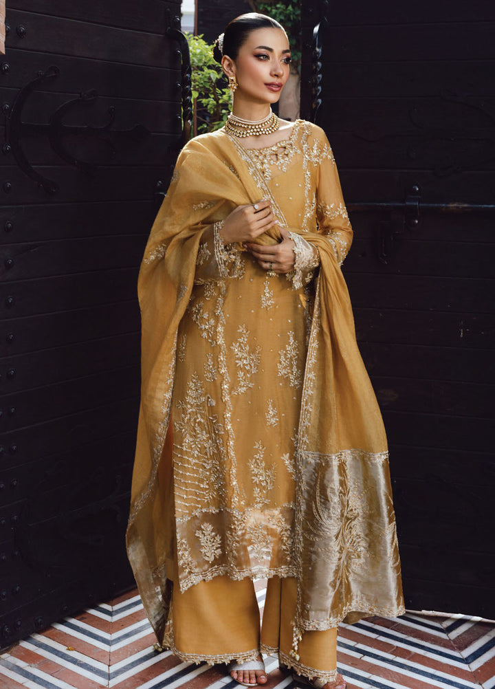 Rang Rasiya Embroidered Cotton Net Suits Unstitched 3 Piece RR25WF D-09 Misha - Wedding Collections