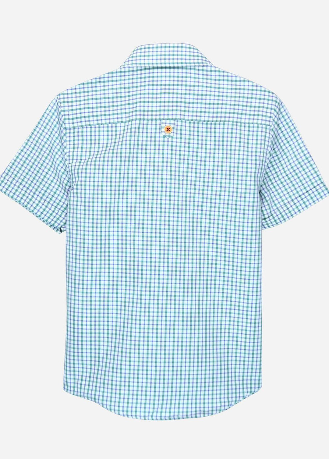 Brumano Cotton Casual Shirts for Boys -  Blue & Green Gingham Casual Shirt - junior