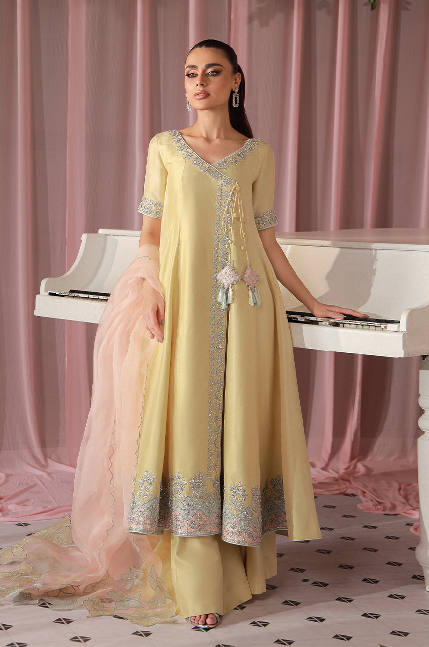 Sera From Nizka By Nida Rehan RTW Hand work Raw Silk 3 Piece Suit Auren - Festive Collection