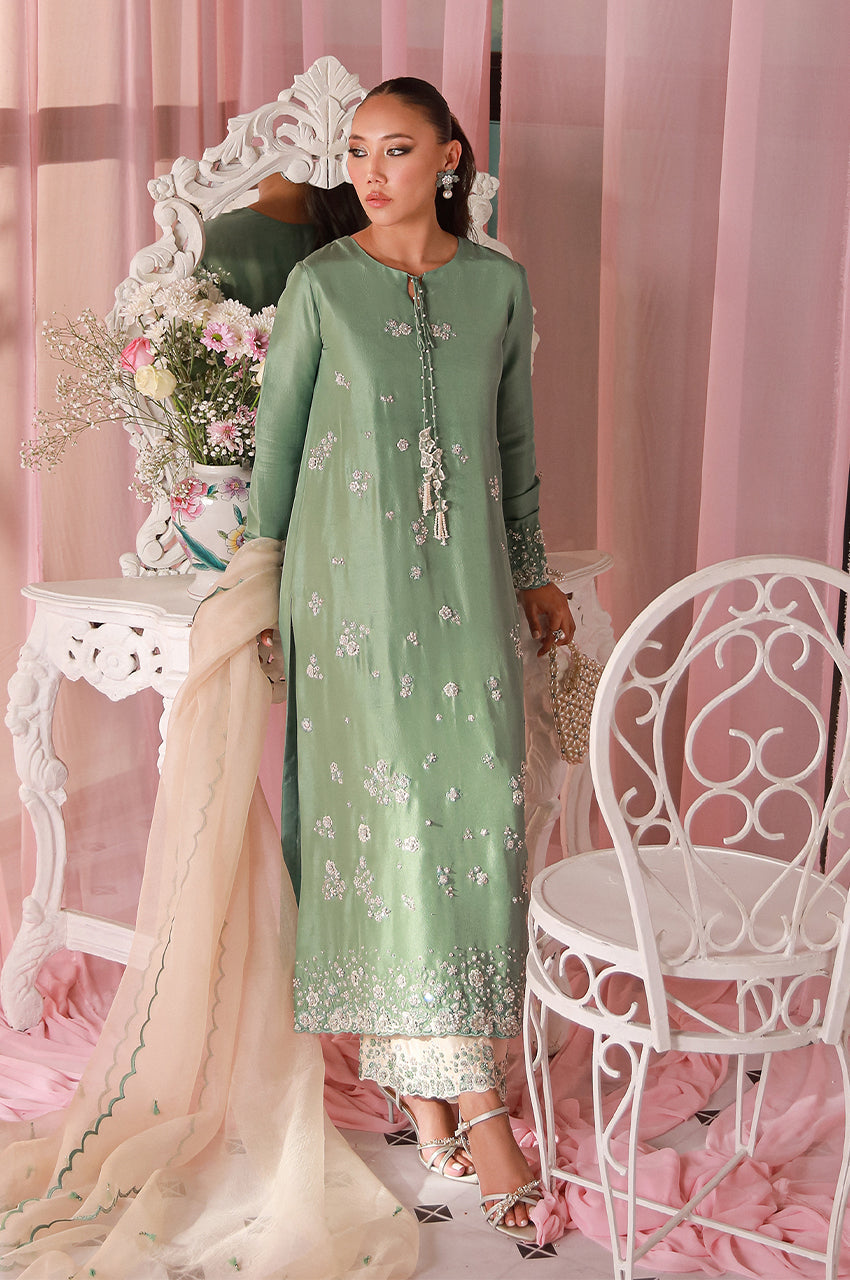 Sera From Nizka By Nida Rehan RTW Hand work Organza 3 Piece Suit Anora - Festive Collection