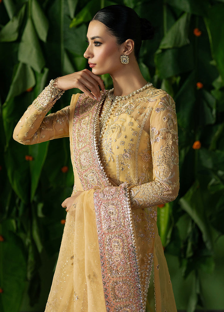 Pehli Nazar by Ayzel Embroidered Organza Suits Unstitched 3 Piece AAFPZ25 D-03 Chahat - Formals Collection