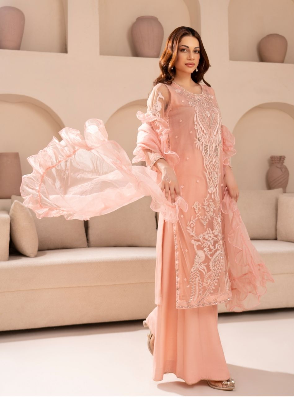 Irtiqa by Anayra Amal RTW Embroidered Net 3 Piece Suit Panchi Festive Collection