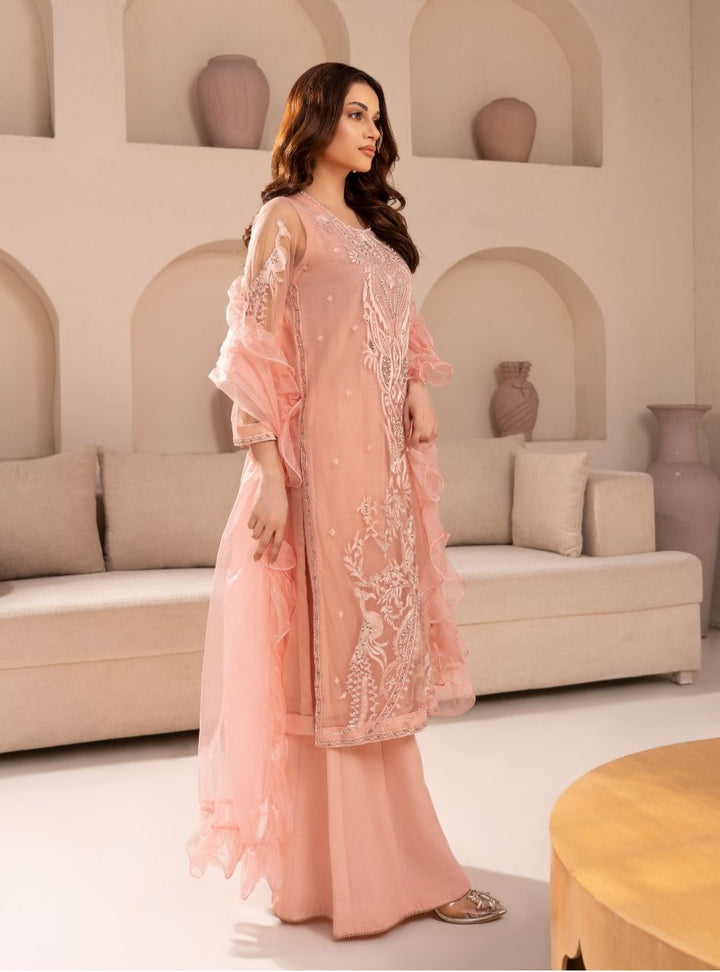 Irtiqa by Anayra Amal RTW Embroidered Net 3 Piece Suit Panchi Festive Collection
