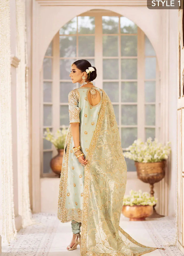 Aik Atelier Embroidered Tissue Suits Unstitched 3 Piece AIK25EF Vl2 Look 03 - Formals Collection