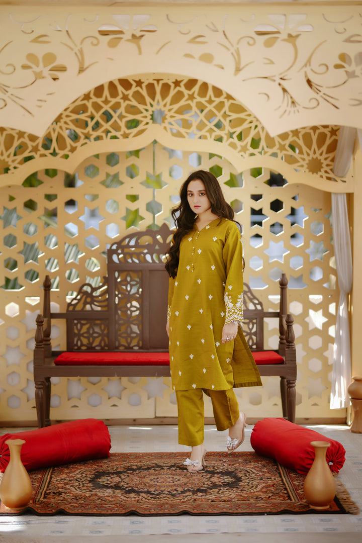 Rang e Bahar by Tng Women Pret Embroidered 2 Piece Eshaa - Winter Collection