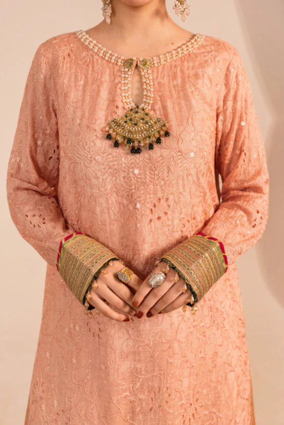Zaaviay Blush Glow Embroidered Suits 3 Piece Pret Festive Collection
