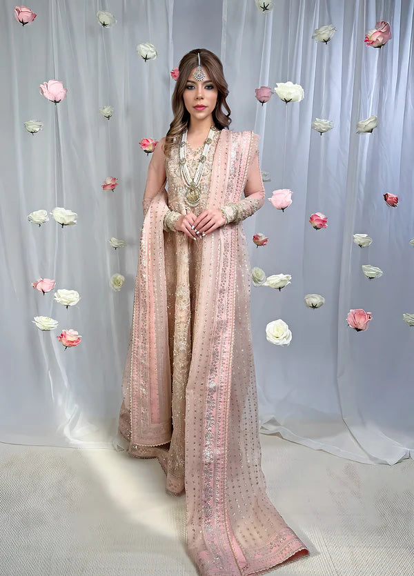 Sahane The Wedding Chapter Unstitched Organza 3 Piece Suit CT 36002 Florisse- Formals Collection