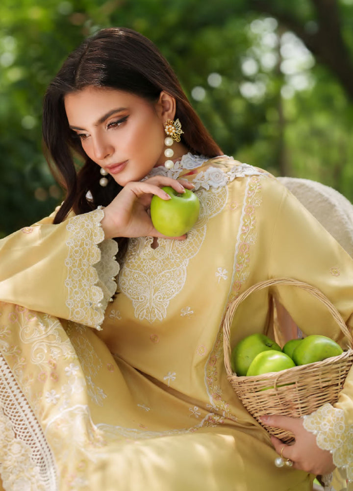 Eden by Asifa Nabeel Embroidered Cambric Suits Unstitched 3 Piece AN25ED D-06 Golden Dust - Winter Collection