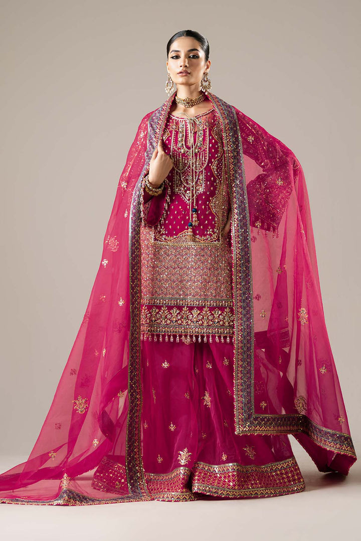 Etoile Filante by Enzo RTW Hand work Organza 3 Piece Suit SOLEIL Wedding Collection
