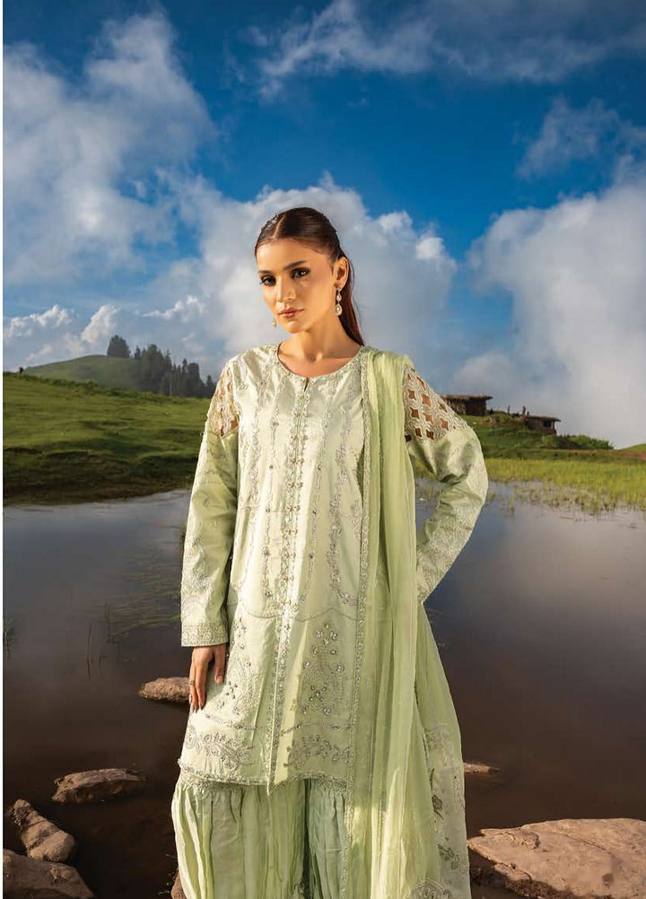 Dastaan by Zebtan Unstitched Embroidered Tassal Silk 3 Piece Suit ZB26UD DZ-05 - Festive Collection