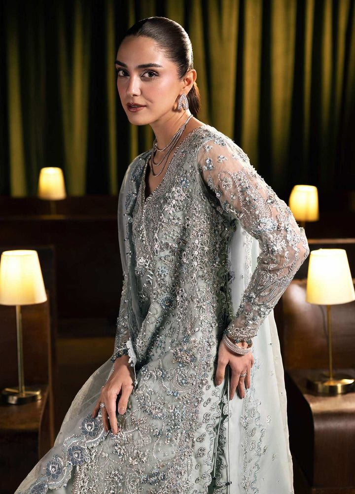 Seranade by Elaf Unstitched Embroidered Poly Net 3 Piece Suit EL26USW Lumière FHM-04 - Wedding Collection