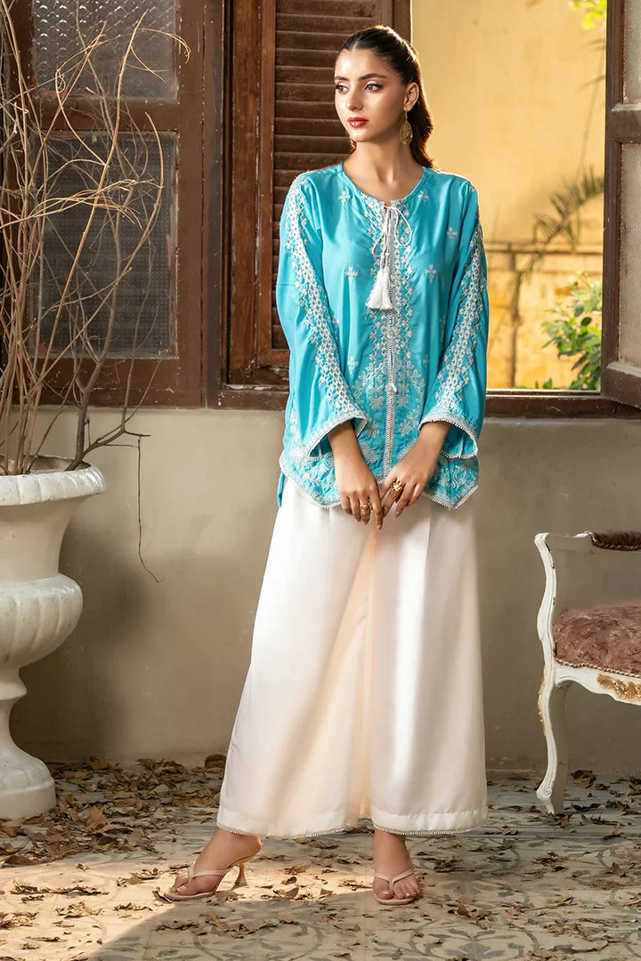 Dhaga Women Pret Embroidered 2 Piece poly cambric Sky Is Blue SS25DSE156 - Summer Collection