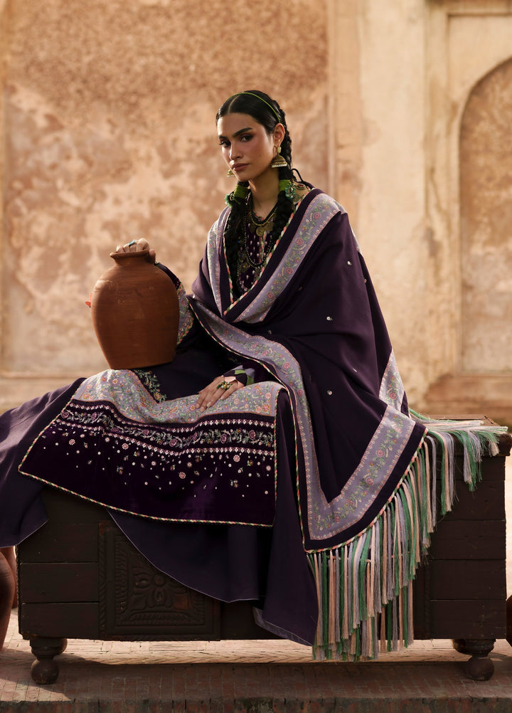 Gulnar by Bin Ilyas Unstitched Embroidered Karandi 3 Piece Suit BI26UGK 1016B - Festive Collection