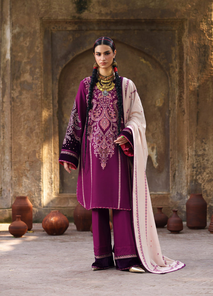 Gulnar by Bin Ilyas Unstitched Embroidered Karandi 3 Piece Suit BI26UGK 1013A - Festive Collection
