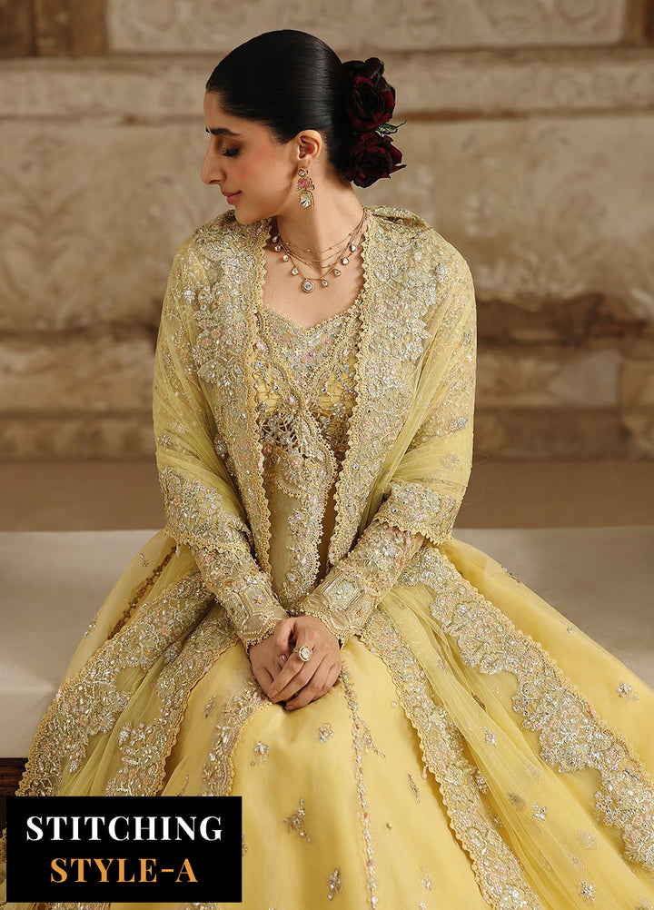 Shadmani by Qalamkar Embroidered Organza Suits Unstitched 3 Piece QLM25SW RH-06 Hoor - Wedding Collection