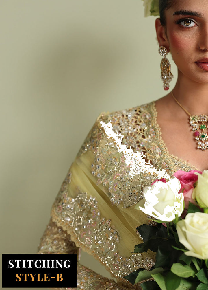 Shadmani by Qalamkar Embroidered Organza Suits Unstitched 3 Piece QLM25SW RH-06 Hoor - Wedding Collection