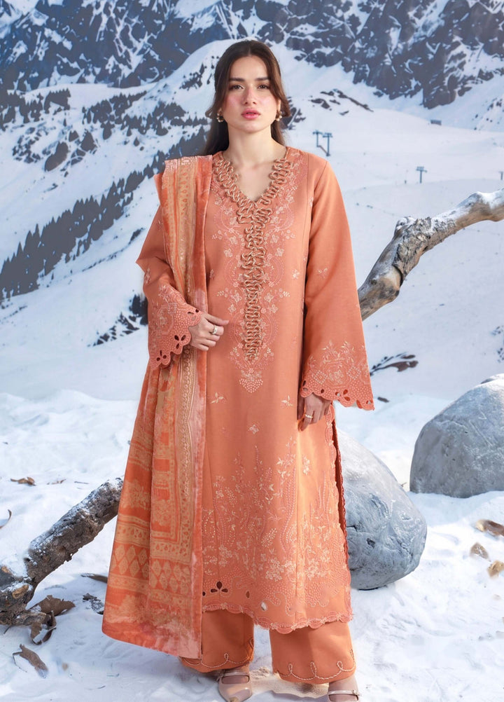 Carnation by Rang Rasiya Unstitched Embroidered Karandi 3 Piece Suit RR26UKW SOLENE - Winter Collection