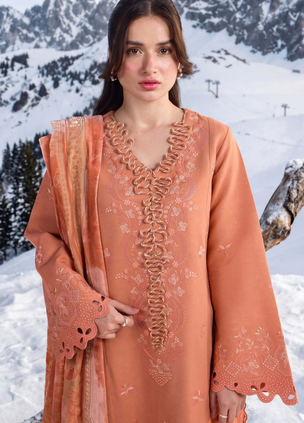 Carnation by Rang Rasiya Unstitched Embroidered Karandi 3 Piece Suit RR26UKW SOLENE - Winter Collection