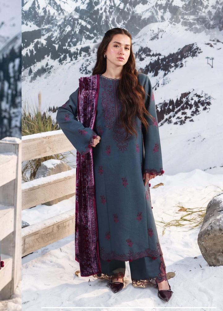 Carnation by Rang Rasiya Unstitched Embroidered Karandi 3 Piece Suit RR26UKW TWILIGHT - Winter Collection