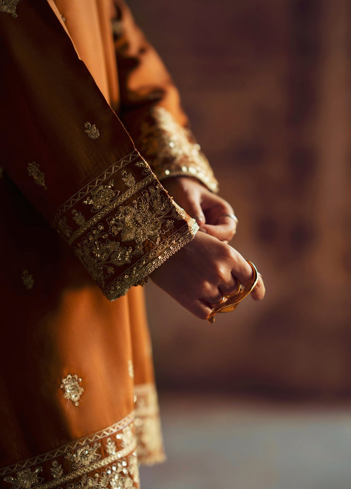 Rekha by Casualite RTW Embroidered Viscose Silk 3 Piece Suit CL26RVR Oraila - Festive Collection
