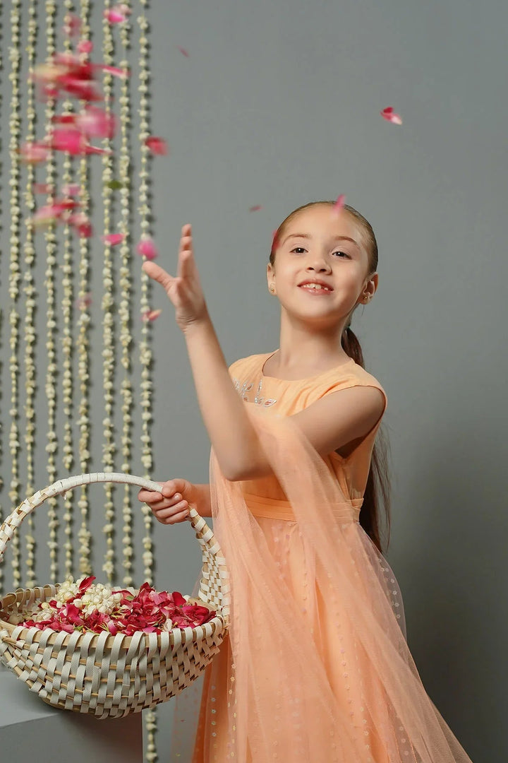 Ochre RTW Embroidered Girls 3 Piece Net Sequence Hand Adda Work OFW-MAX-23 - Summer Collection