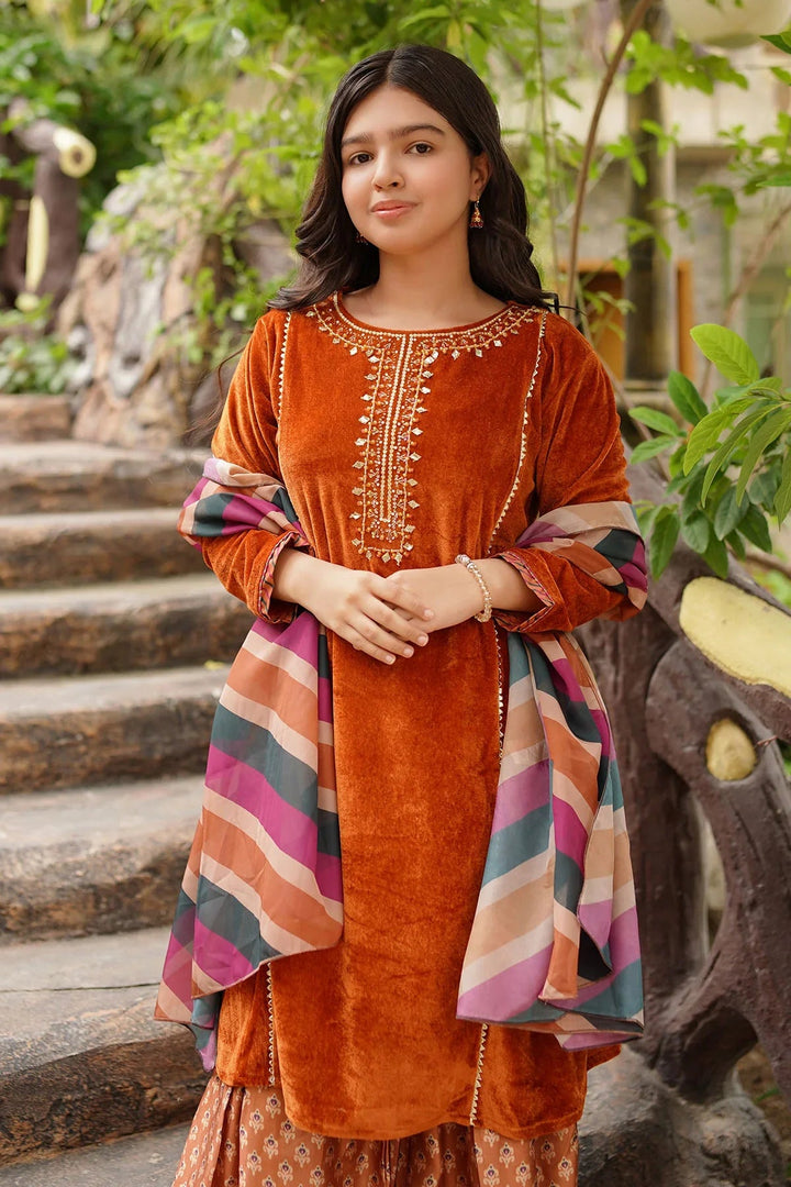 Ochre RTW Embroidered Girls 3 Piece Velvet Hand Adda Work OVF-41 - Winter Collection