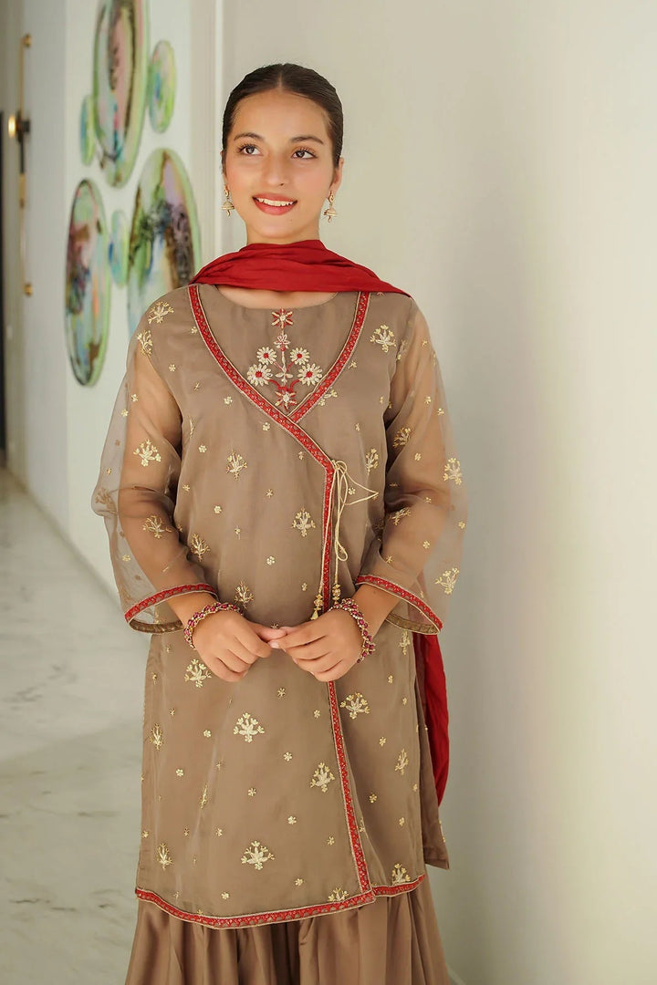 Ochre RTW Embroidered Girls 3 Piece Organza  SHD-13 - Winter Collection