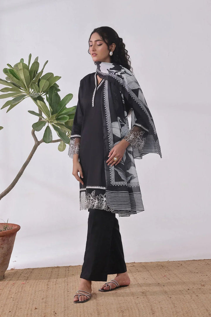 Ochre Women RTW Cotton 3 Piece Suit Black Cotton Embroidered - Festive Collection