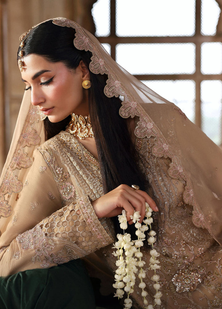 Romansiyyah by Eman Adeel Embroidered Chiffon Suits Unstitched 3 Piece EA25RLF Shahnoor - Formals Collection