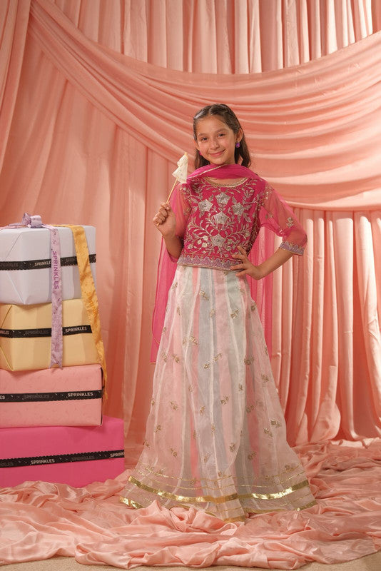 Sprinkles Girls RTW Embroidered Net 3 Piece Suit Pink Stardust Festive Collection