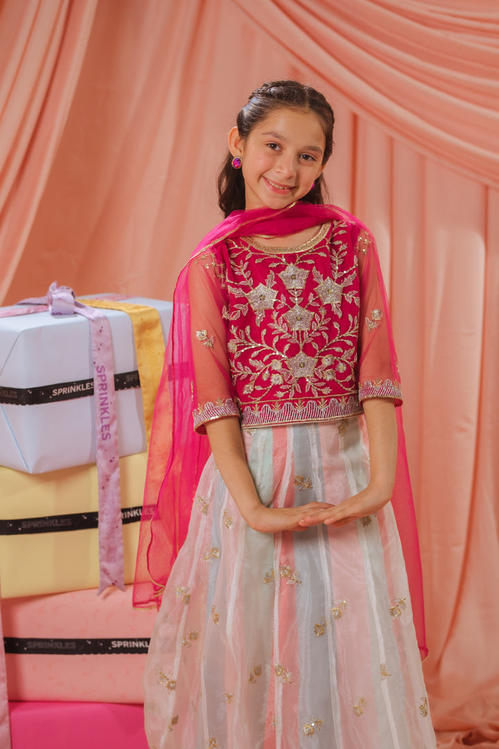 Sprinkles Girls RTW Embroidered Net 3 Piece Suit Pink Stardust Festive Collection