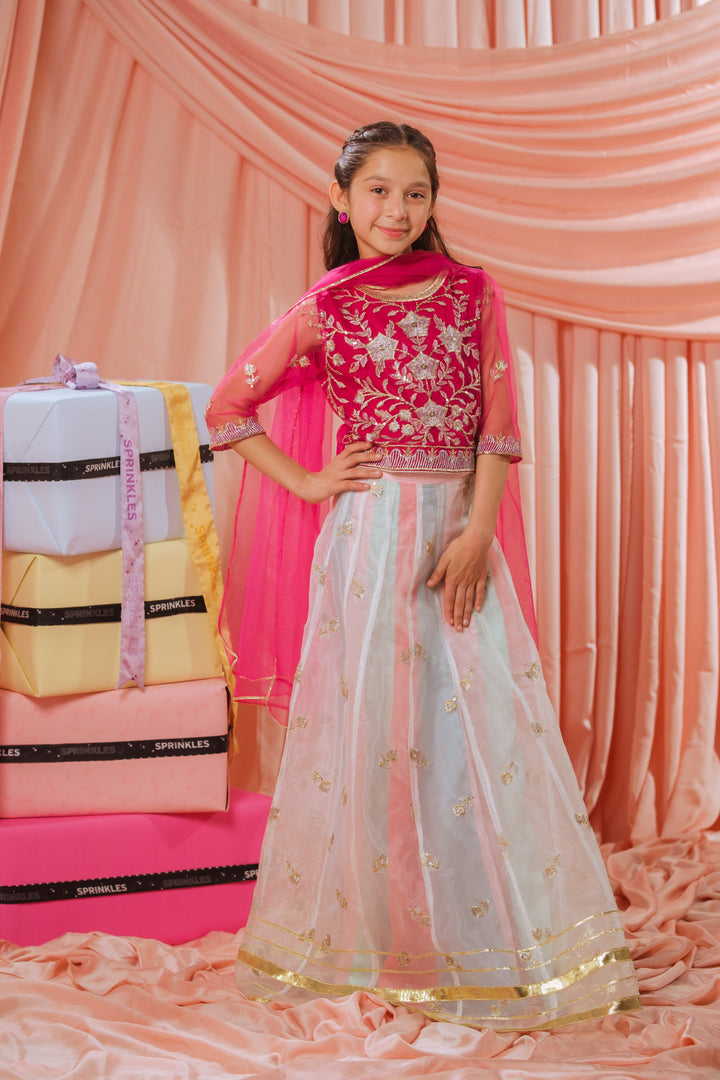 Sprinkles Girls RTW Embroidered Net 3 Piece Suit Pink Stardust Festive Collection