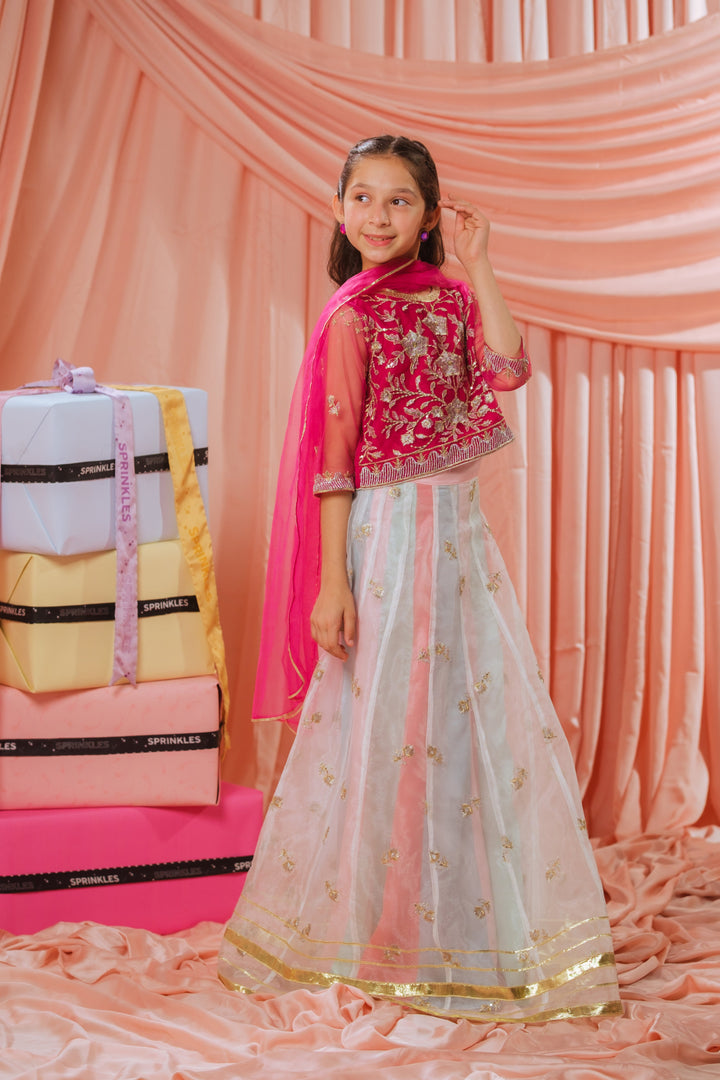 Sprinkles Girls RTW Embroidered Net 3 Piece Suit Pink Stardust Festive Collection