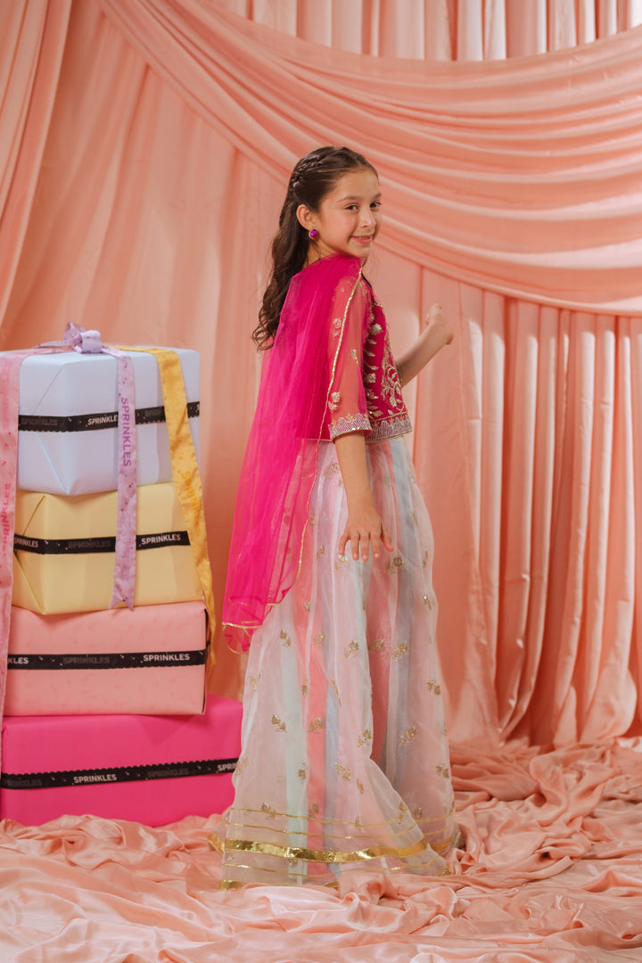 Sprinkles Girls RTW Embroidered Net 3 Piece Suit Pink Stardust Festive Collection
