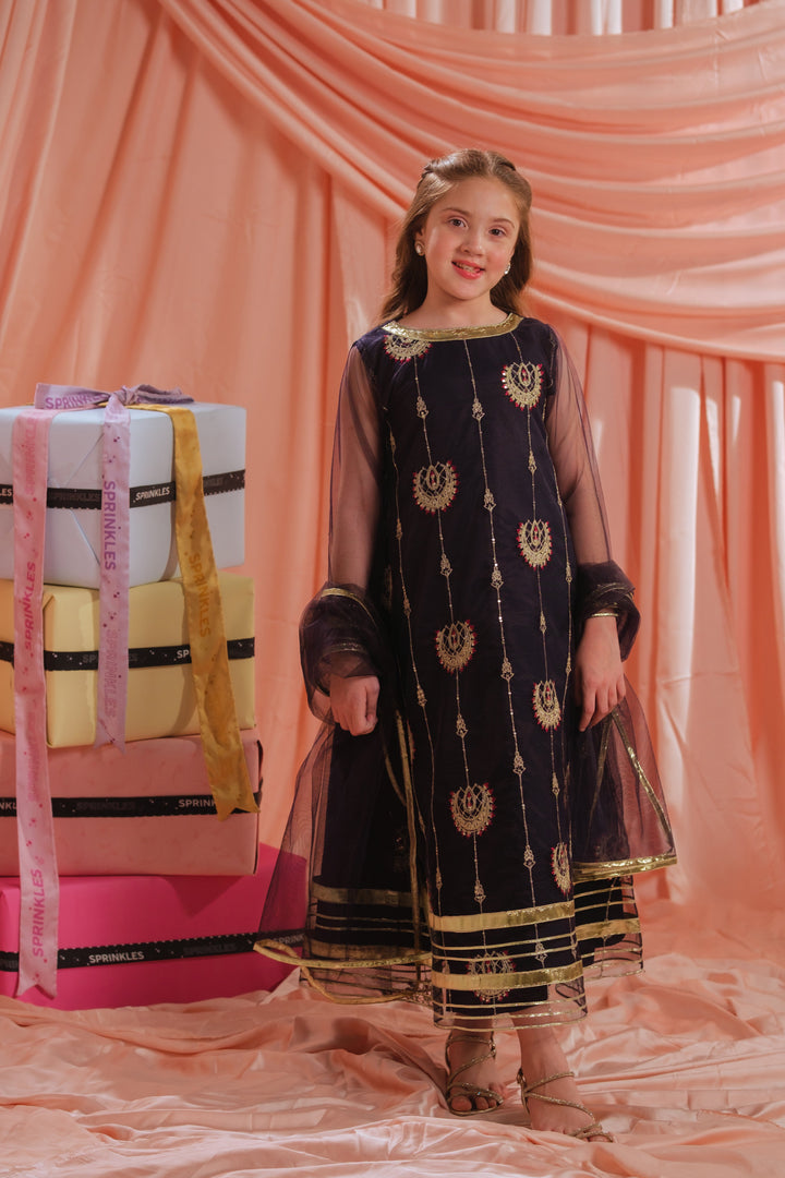 Sprinkles Girls RTW Embroidered Net 3 Piece Suit Royal Ember Festive Collection