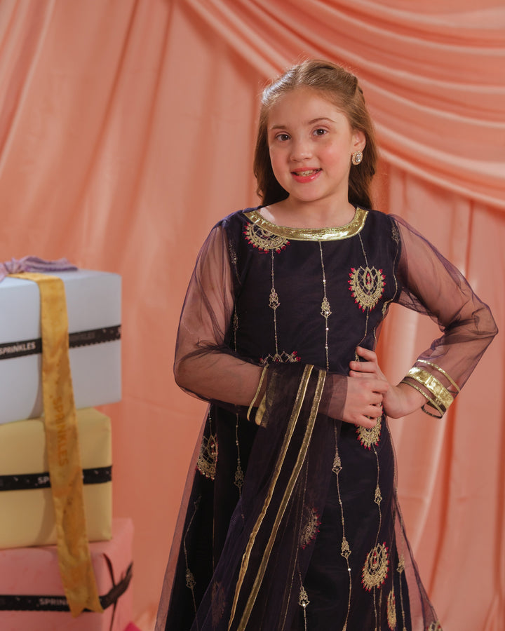 Sprinkles Girls RTW Embroidered Net 3 Piece Suit Royal Ember Festive Collection