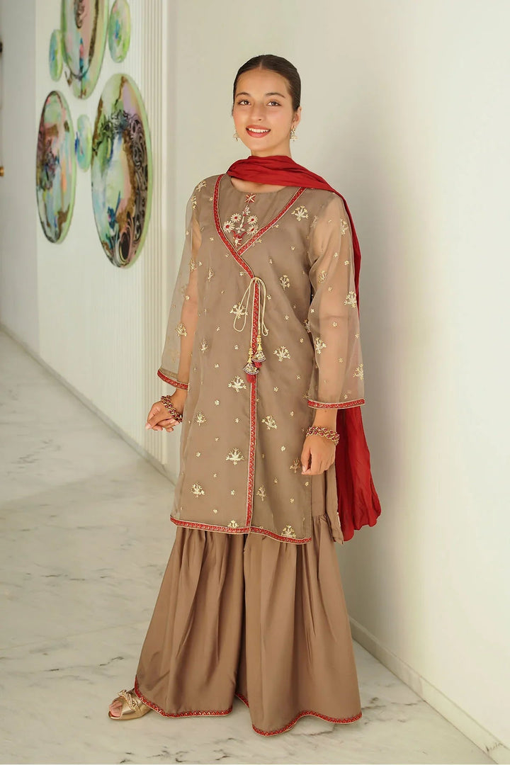 Ochre RTW Embroidered Girls 3 Piece Organza  SHD-13 - Winter Collection