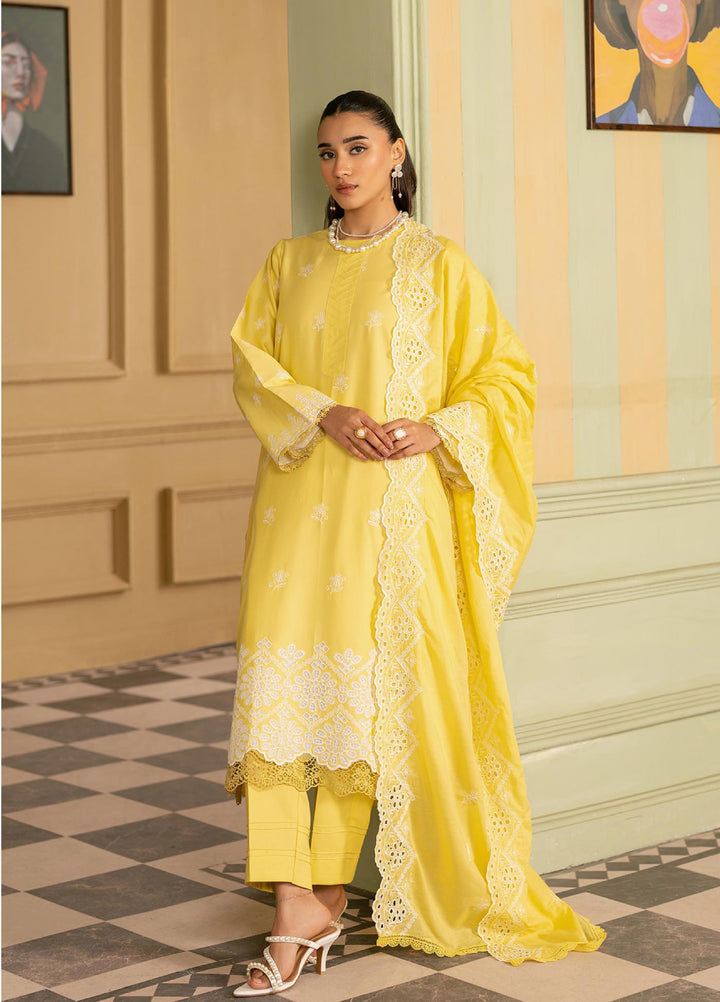 Raha by Rajbari Unstitched Premium Chikankai Embroidered Lawn 3 Piece Suit RB26UCRL D-2 - Summer Collection