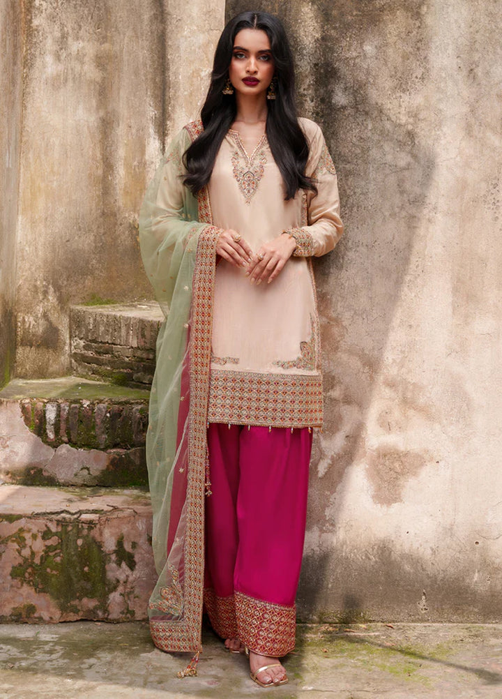 Zaria by Meeral Pret Embroidered Raw Silk 3 Piece Sierra - Festive Collection