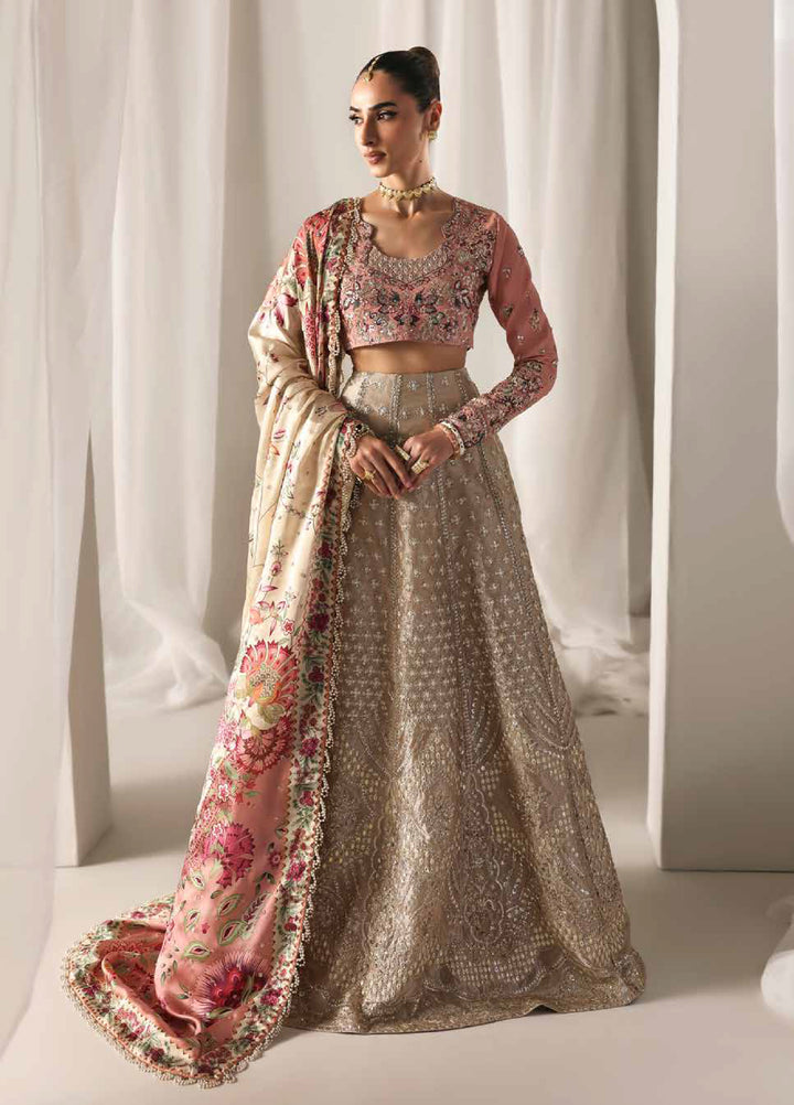 Serein Luxe by Emaan Adeel Unstitched Raw Silk Embroidered Suits 3 Piece EA25SL D-8 Soft Glimmer - Festive Collection