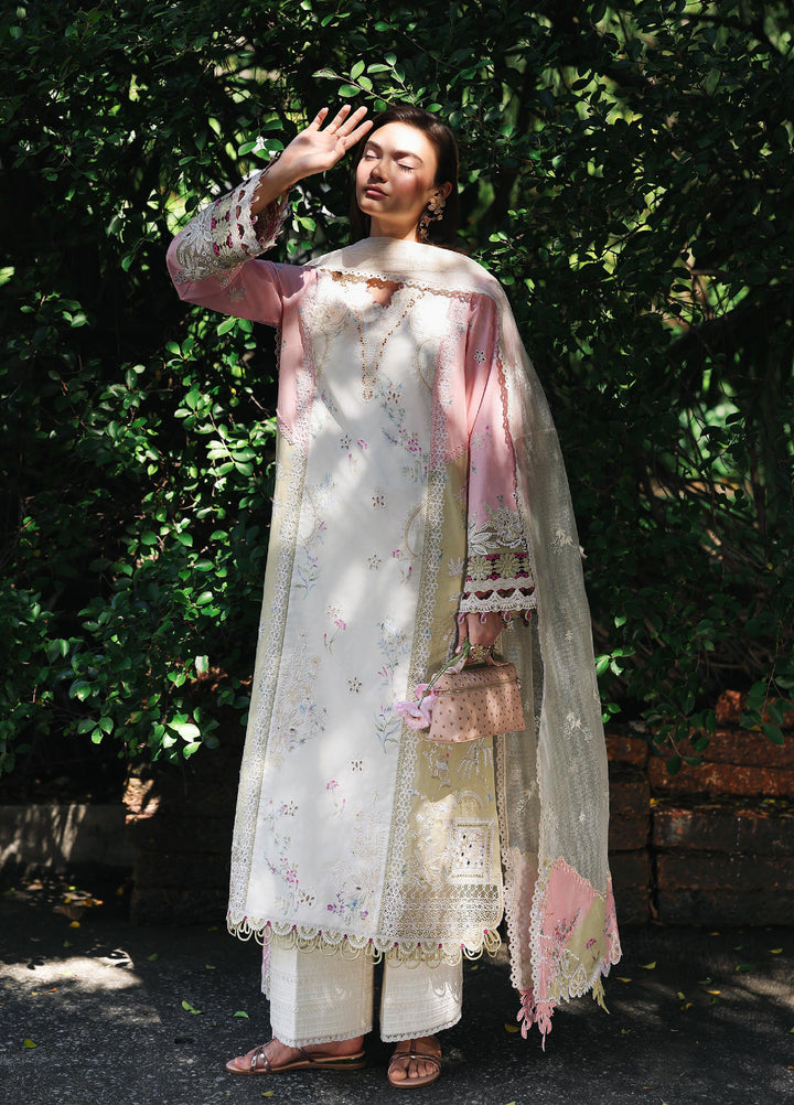 Q Line by Qalamkar Unstitched Chikankari Embroidered Lawn 3 Piece Suit QLK26UQL RP-02 AYLIN - Summer Collection