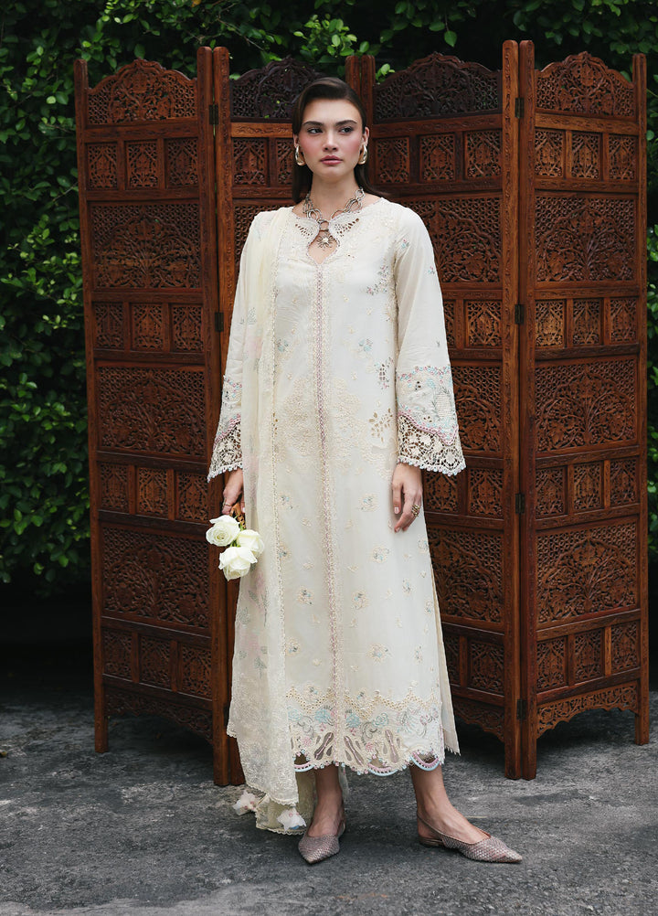 Q Line by Qalamkar Unstitched Chikankari Embroidered Lawn 3 Piece Suit QLK26UQL RP-01 SAVERA - Summer Collection