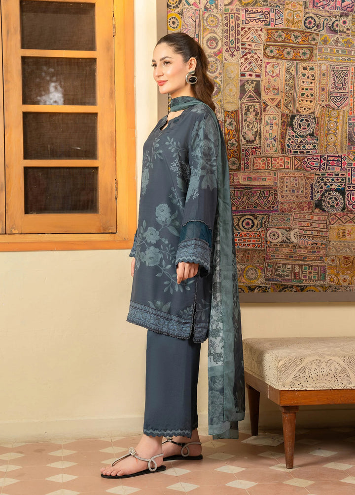Mah e Noor Intermix by Panache 3 Piece Khaddar Slate - Winter Collection